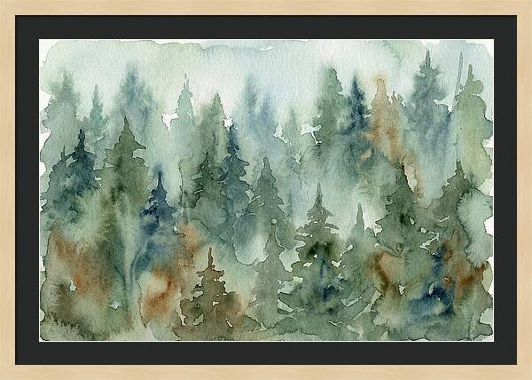 Echoes In The Enchanted Woods