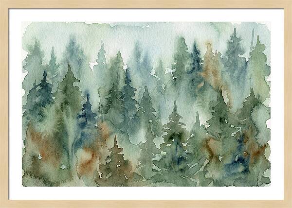 Echoes In The Enchanted Woods