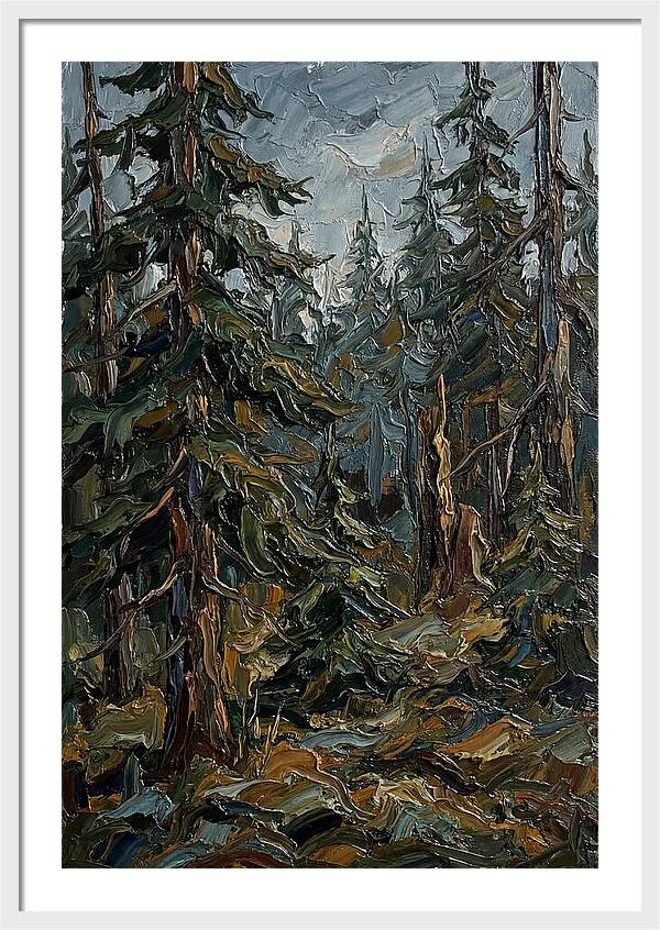 Echoes In The Forest Grove