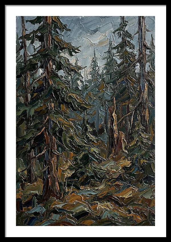 Echoes In The Forest Grove