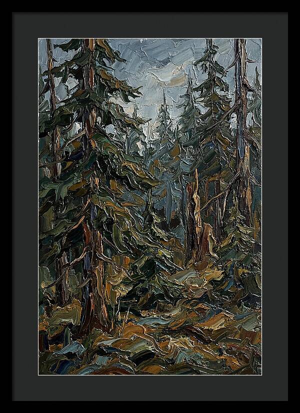Echoes In The Forest Grove