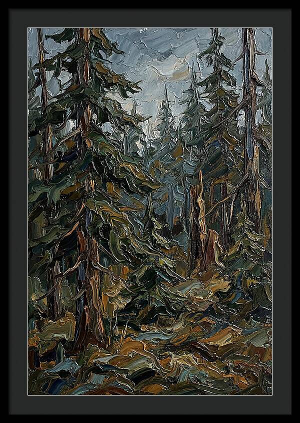 Echoes In The Forest Grove
