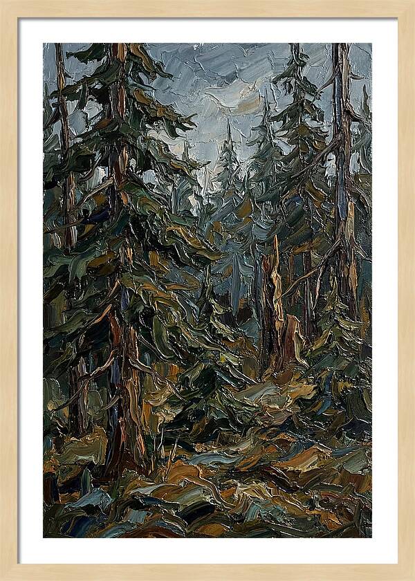 Echoes In The Forest Grove