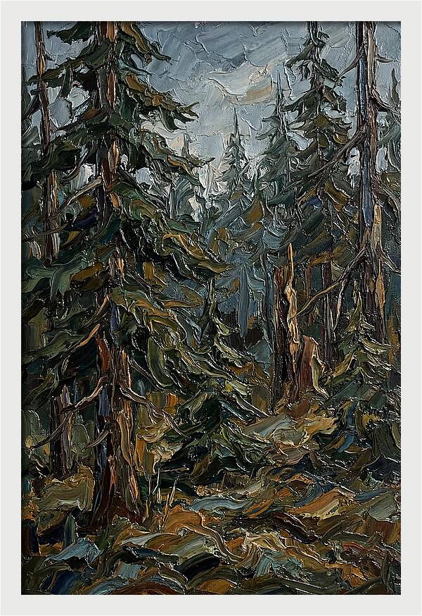 Echoes In The Forest Grove