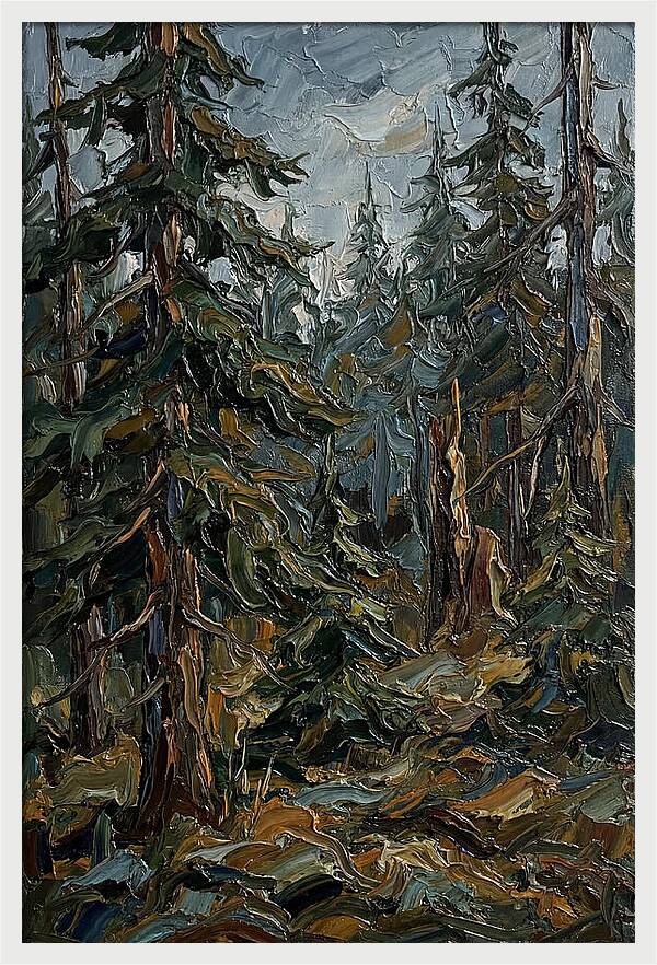 Echoes In The Forest Grove