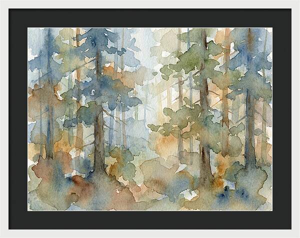 Echoes In The Pine Grove
