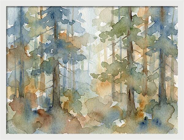 Echoes In The Pine Grove