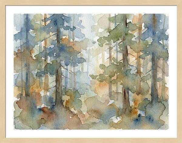 Echoes In The Pine Grove
