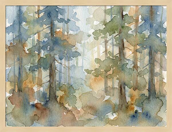 Echoes In The Pine Grove
