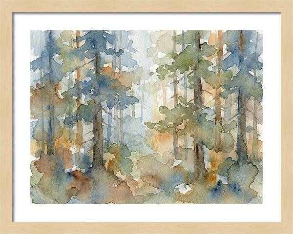 Echoes In The Pine Grove