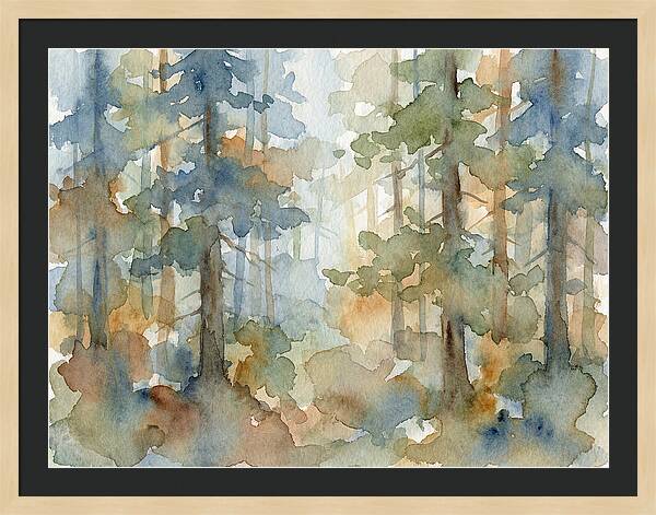 Echoes In The Pine Grove