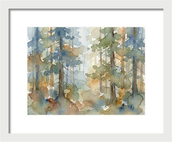 Echoes In The Pine Grove