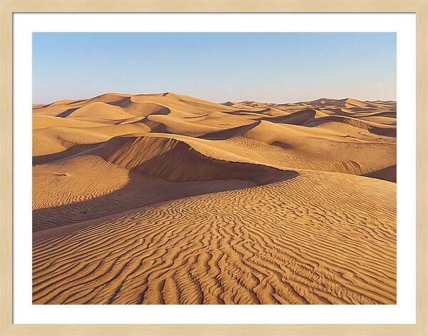Echoes Of The Arid Sands