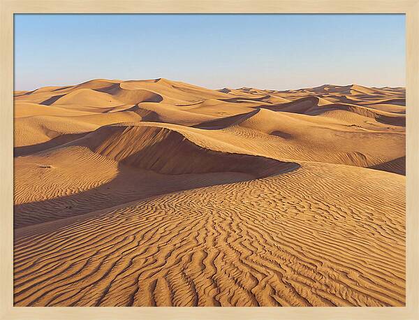 Echoes Of The Arid Sands