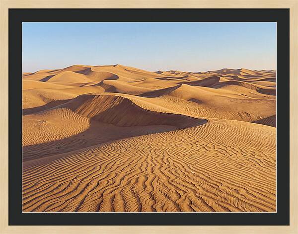 Echoes Of The Arid Sands