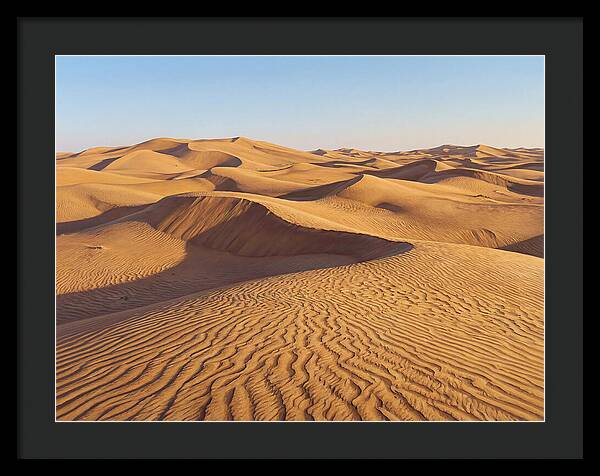 Echoes Of The Arid Sands