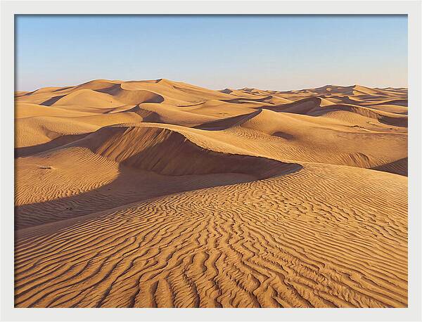 Echoes Of The Arid Sands