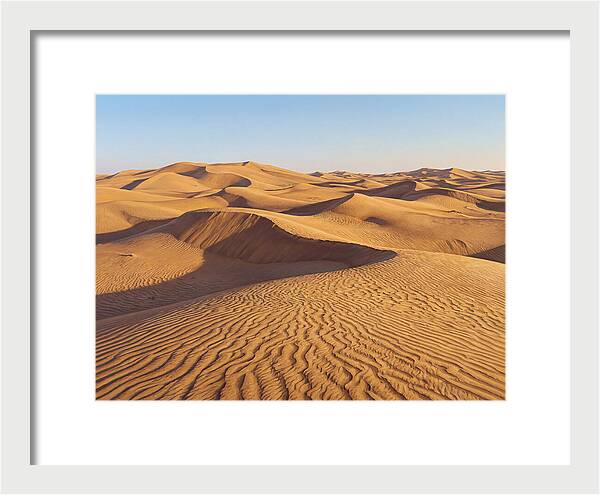 Echoes Of The Arid Sands