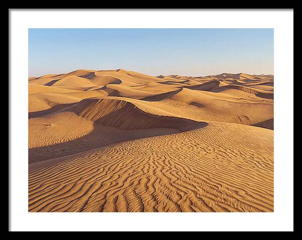 Echoes Of The Arid Sands
