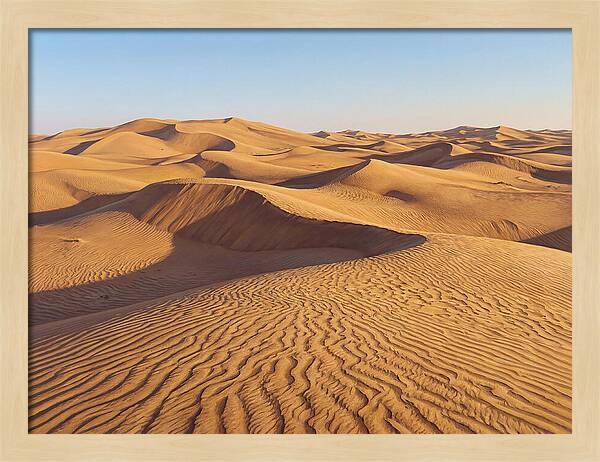 Echoes Of The Arid Sands
