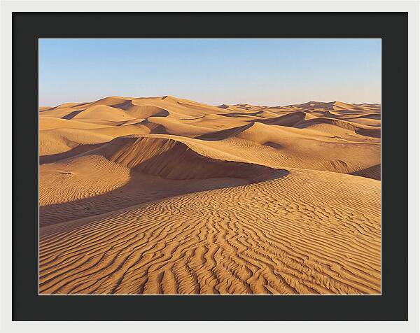 Echoes Of The Arid Sands
