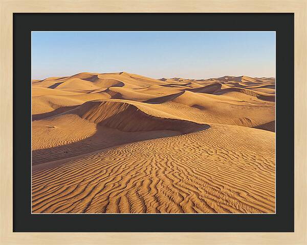 Echoes Of The Arid Sands