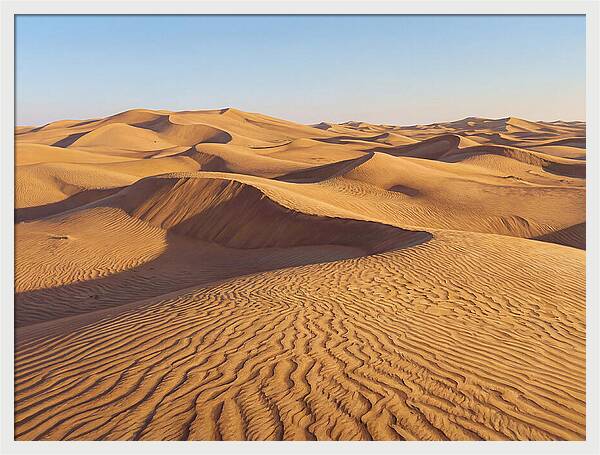 Echoes Of The Arid Sands