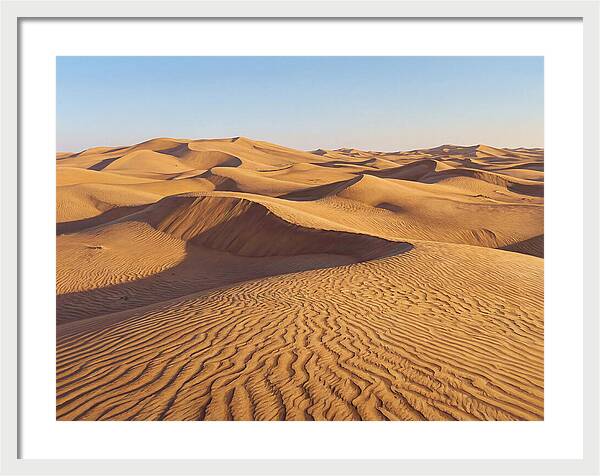 Echoes Of The Arid Sands