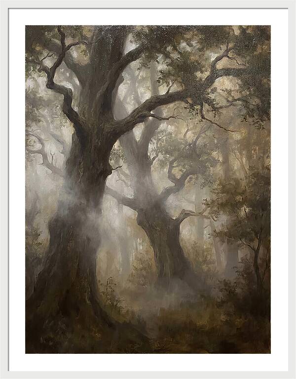 Echoes Of The Enchanted Forest