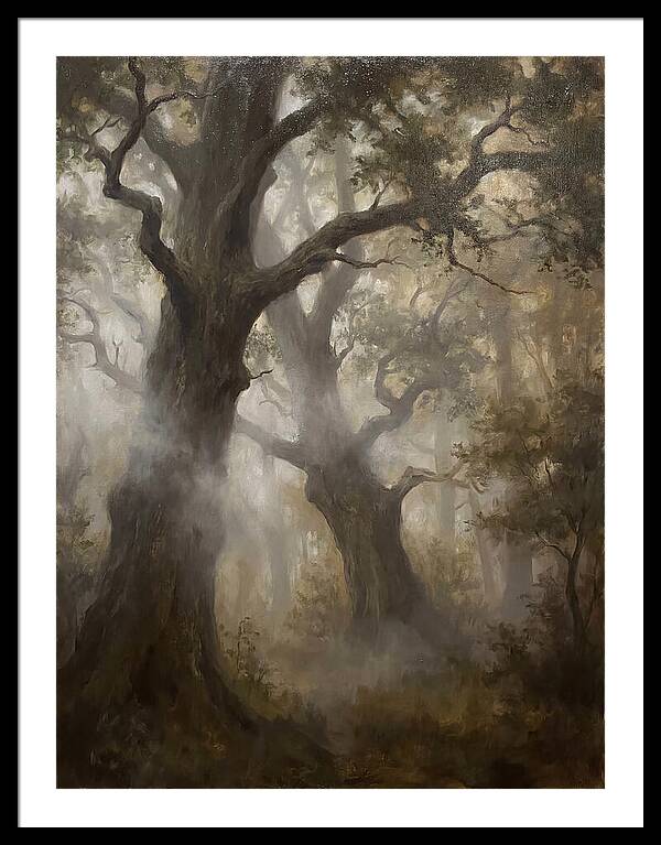 Echoes Of The Enchanted Forest