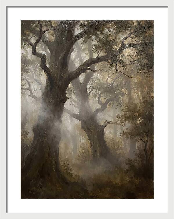 Echoes Of The Enchanted Forest
