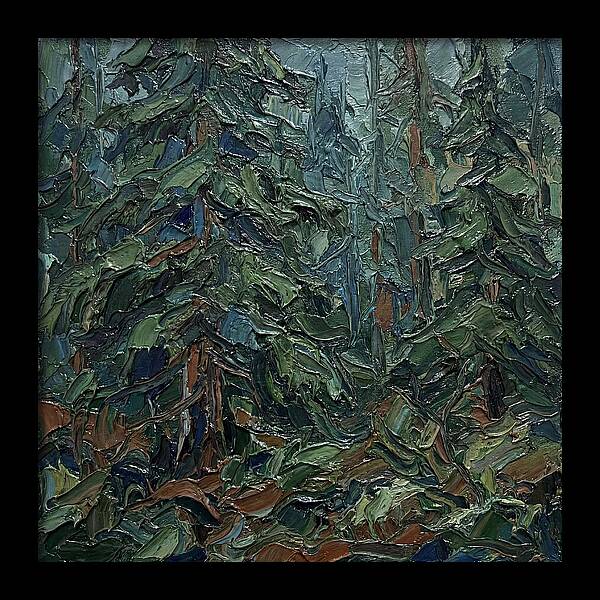 Echoes Of The Forest Glade