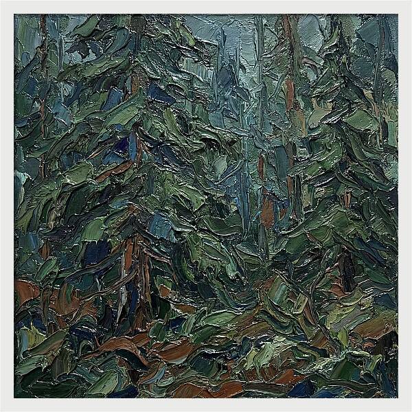 Echoes Of The Forest Glade