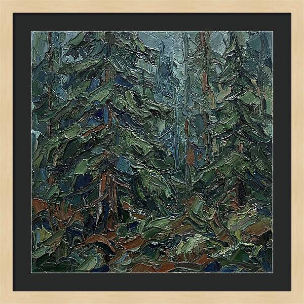 Echoes Of The Forest Glade