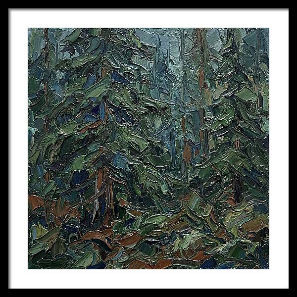 Echoes Of The Forest Glade