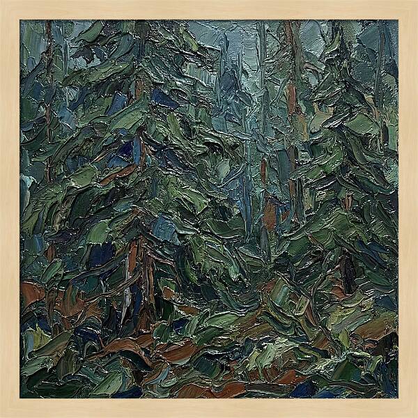 Echoes Of The Forest Glade