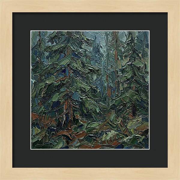 Echoes Of The Forest Glade
