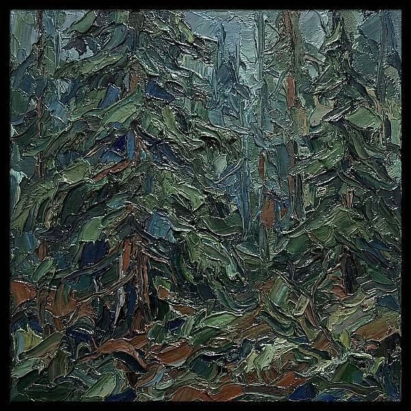 Echoes Of The Forest Glade