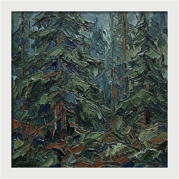 Echoes Of The Forest Glade