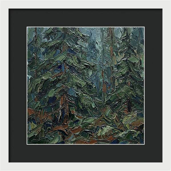 Echoes Of The Forest Glade
