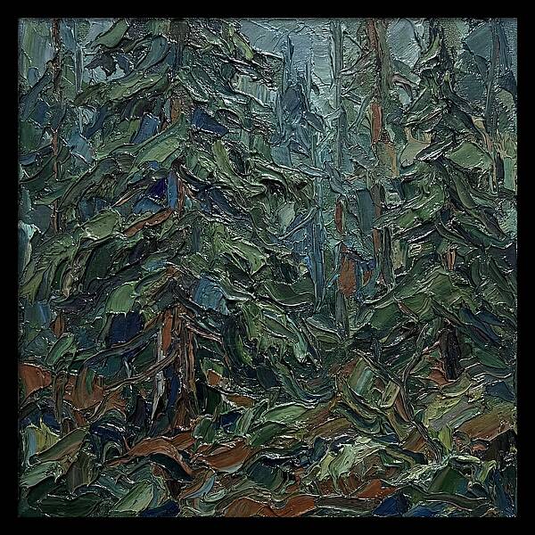 Echoes Of The Forest Glade