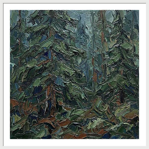 Echoes Of The Forest Glade