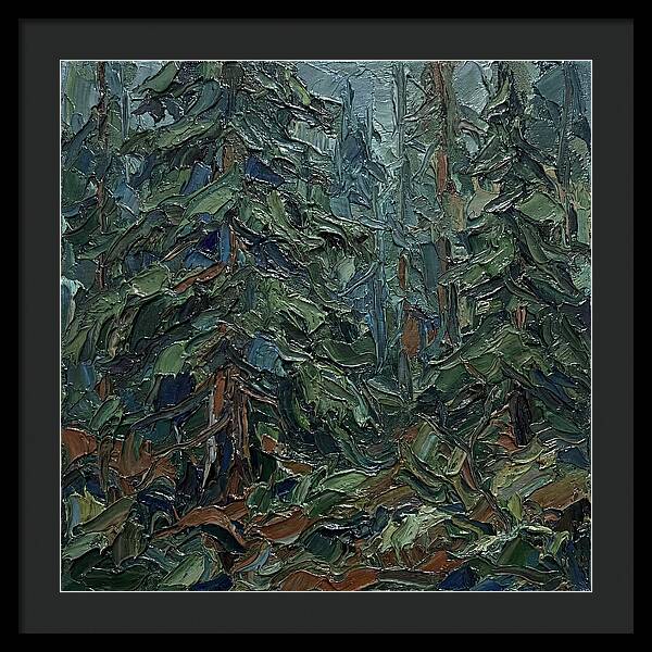 Echoes Of The Forest Glade