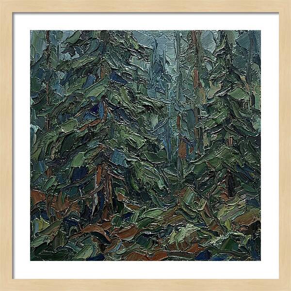 Echoes Of The Forest Glade
