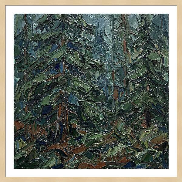 Echoes Of The Forest Glade