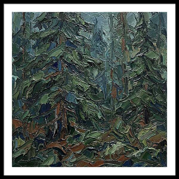 Echoes Of The Forest Glade