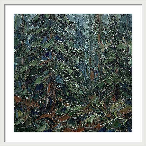 Echoes Of The Forest Glade