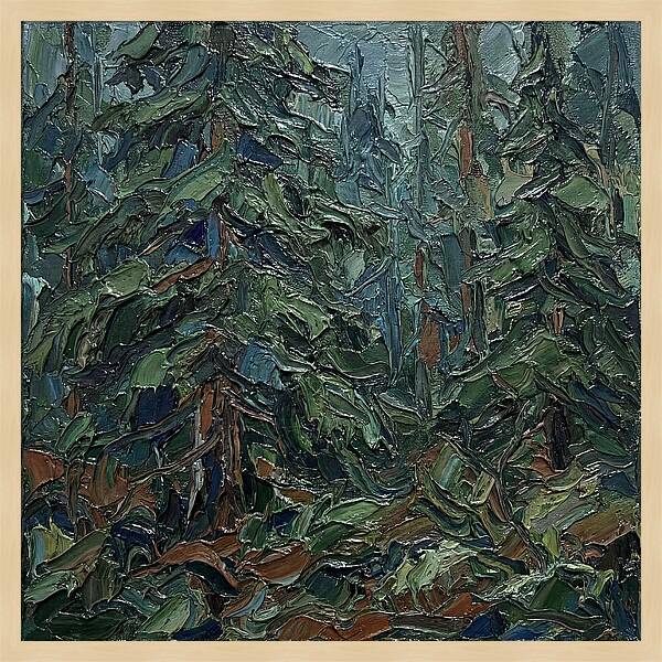 Echoes Of The Forest Glade