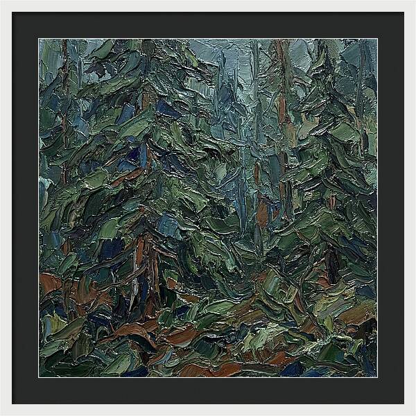Echoes Of The Forest Glade