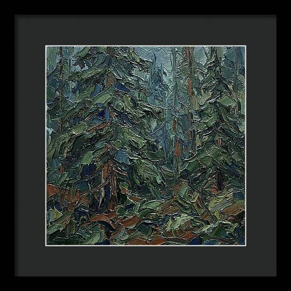 Echoes Of The Forest Glade